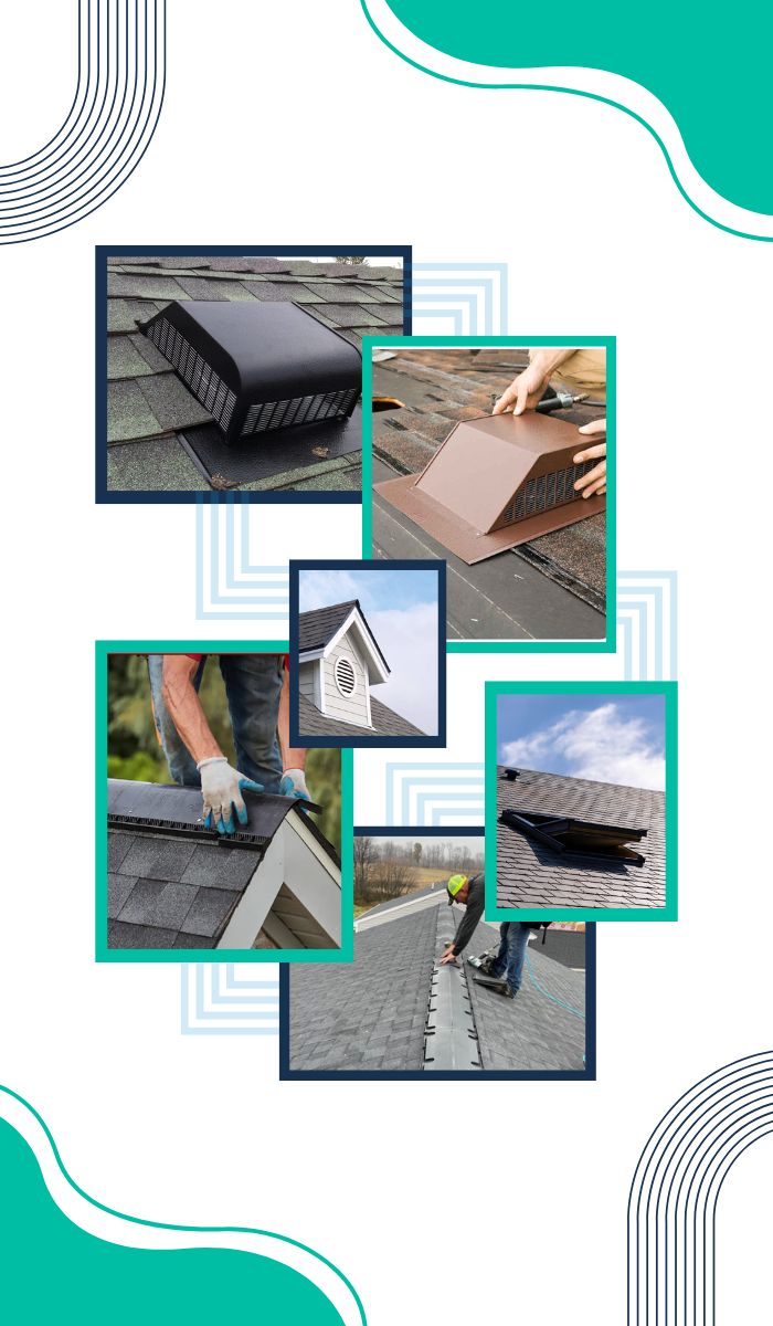 common-signs-of-mould-in-commercial-properties