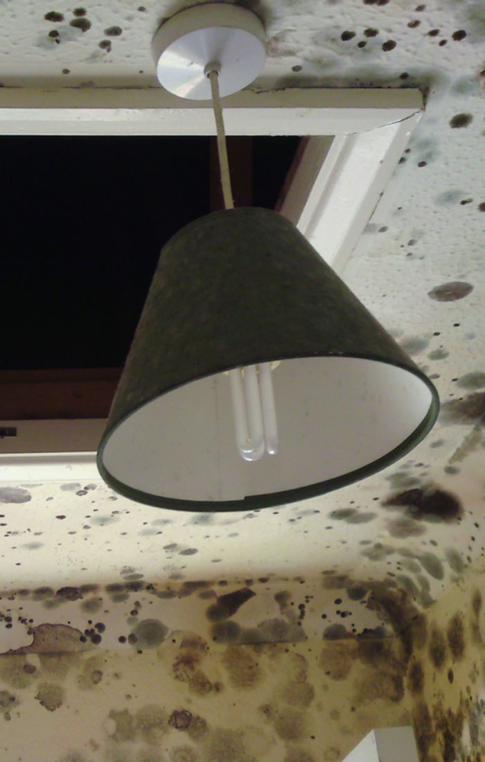 techniques-do-we-employ-for-effective-mould-remediation