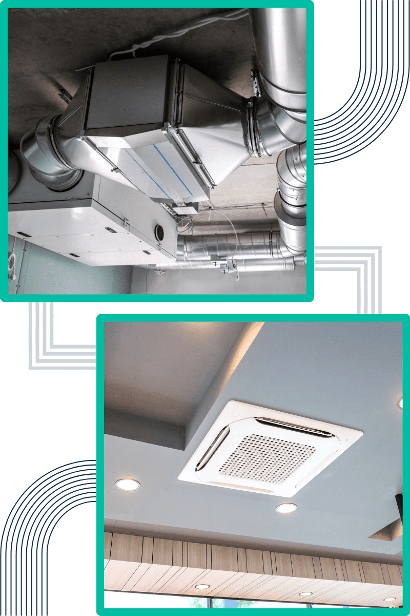 techniques-do-we-employ-for-effective-mould-remediation