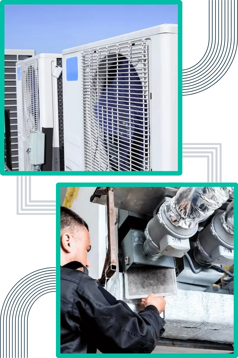 techniques-do-we-employ-for-effective-mould-remediation