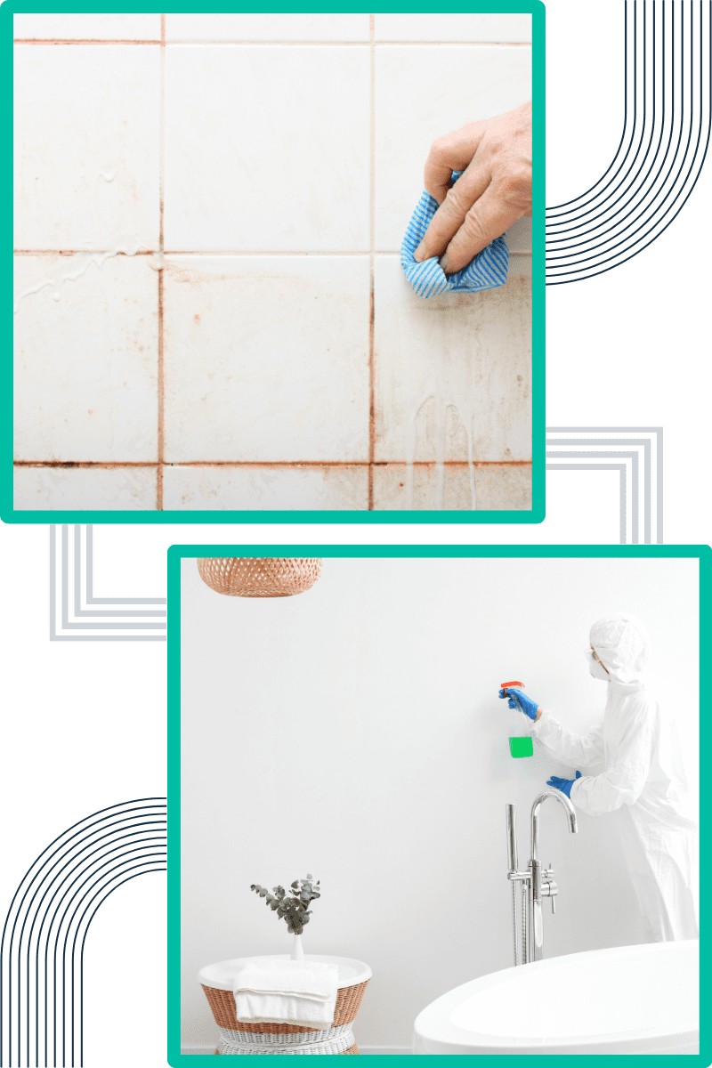 techniques-do-we-employ-for-effective-mould-remediation