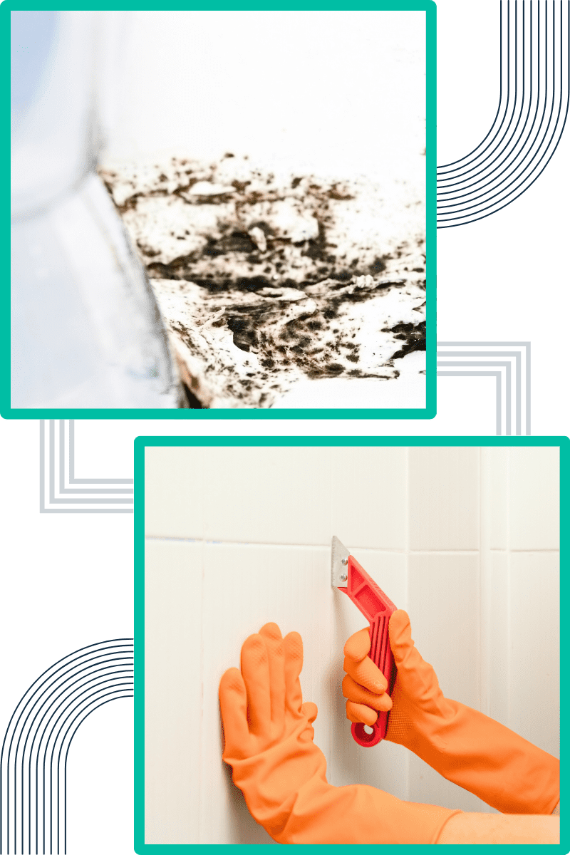 techniques-do-we-employ-for-effective-mould-remediation
