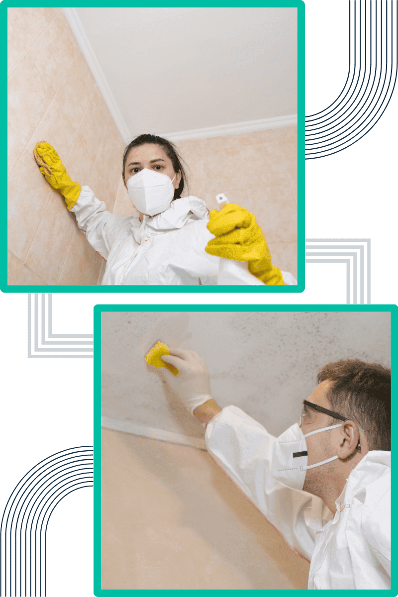 techniques-do-we-employ-for-effective-mould-remediation