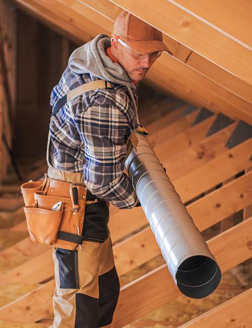 techniques-do-we-employ-for-effective-mould-remediation