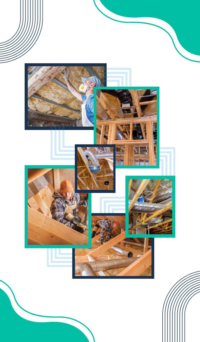 common-signs-of-mould-in-commercial-properties