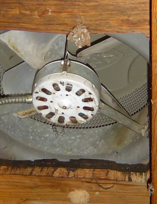 techniques-do-we-employ-for-effective-mould-remediation