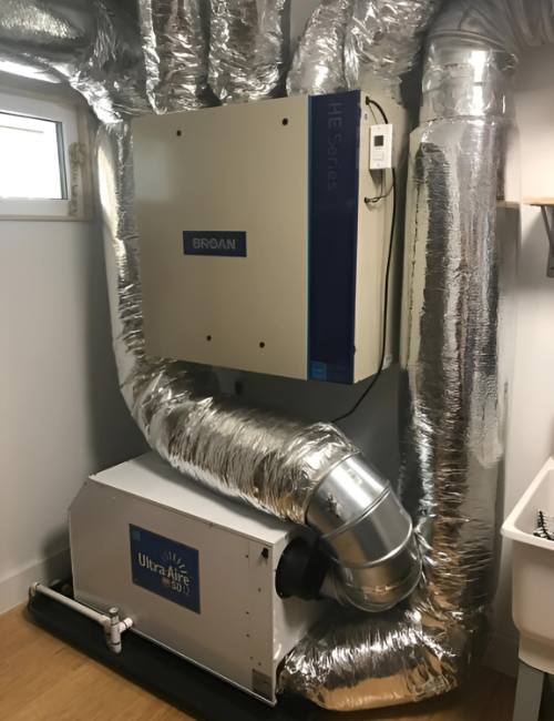techniques-do-we-employ-for-effective-mould-remediation