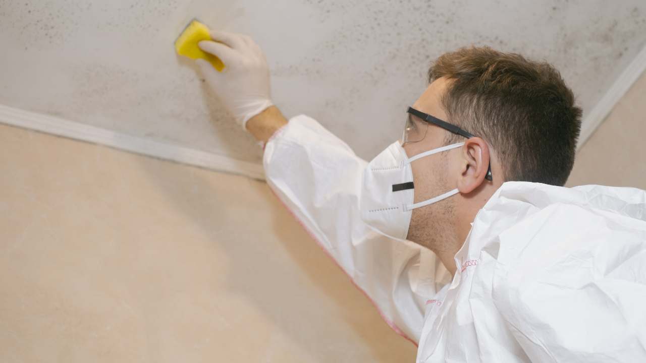 how-to-remove-mould-from-bathroom-ceiling
