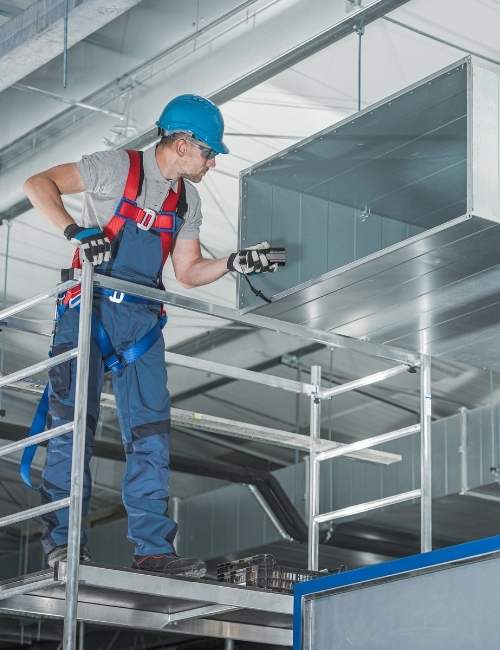 techniques-do-we-employ-for-effective-mould-remediation