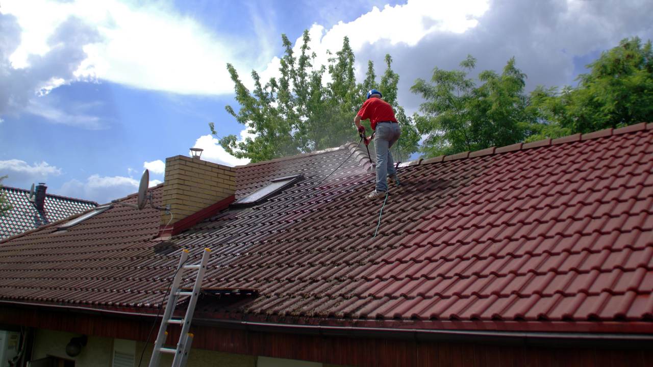 What is the Best Time of Year for Roof Moss Removal in Ireland?