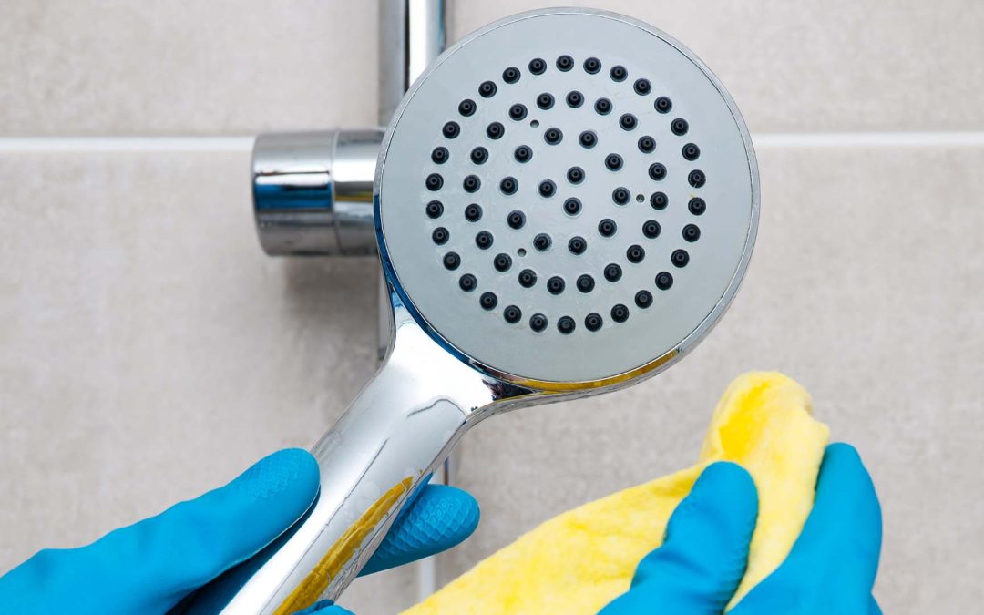 How to Remove Mould from a Shower?