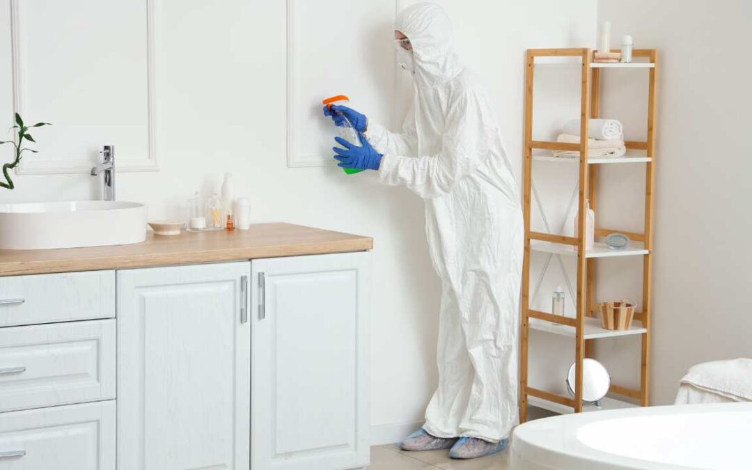 How Much Does Bathroom Mould Removal Cost?(Updated 2025)