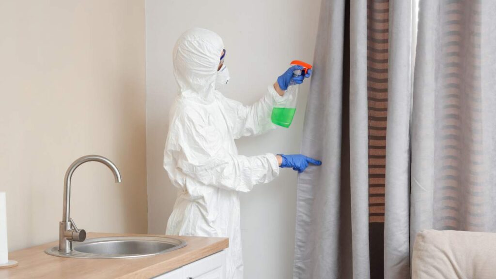 mould-removal-techniques