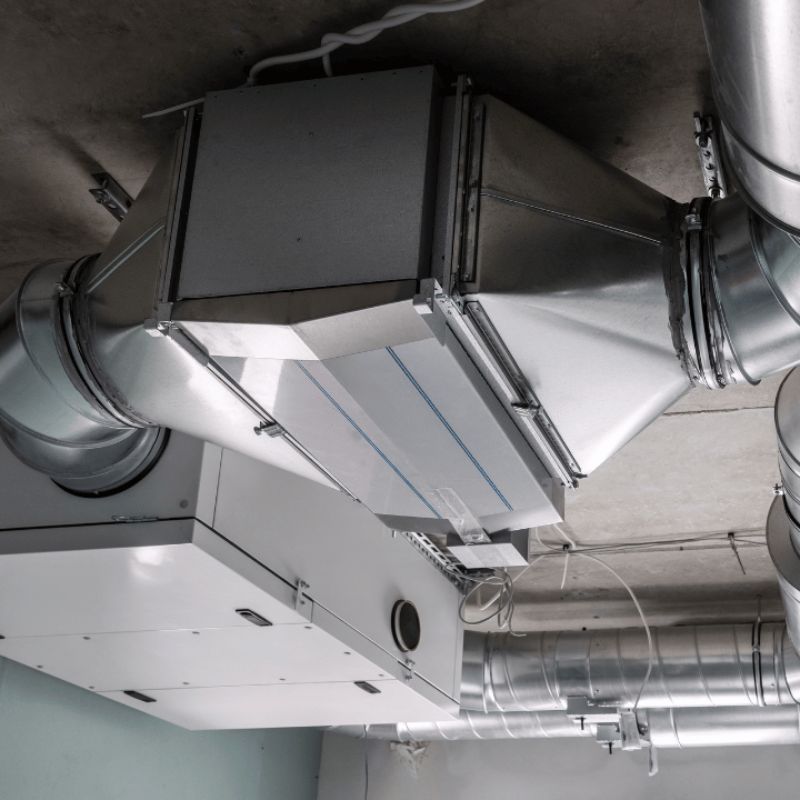 techniques-do-we-employ-for-effective-mould-remediation