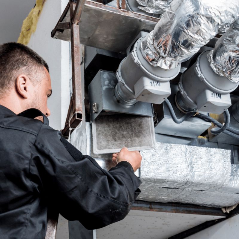 common-signs-of-mould-in-commercial-properties