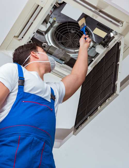 techniques-do-we-employ-for-effective-mould-remediation