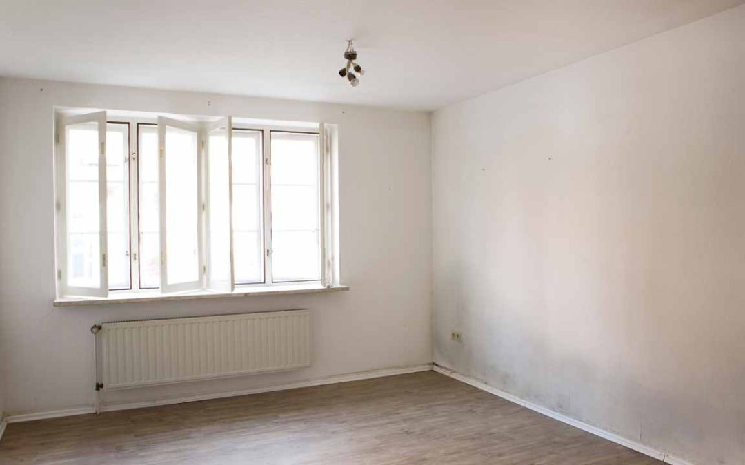 10 Signs You Have a Hidden Mould Problem at Home