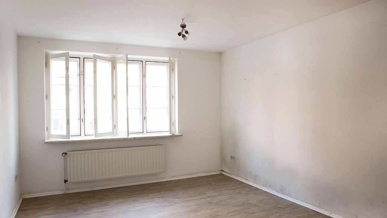 signs-of-hidden-mould-in-homes