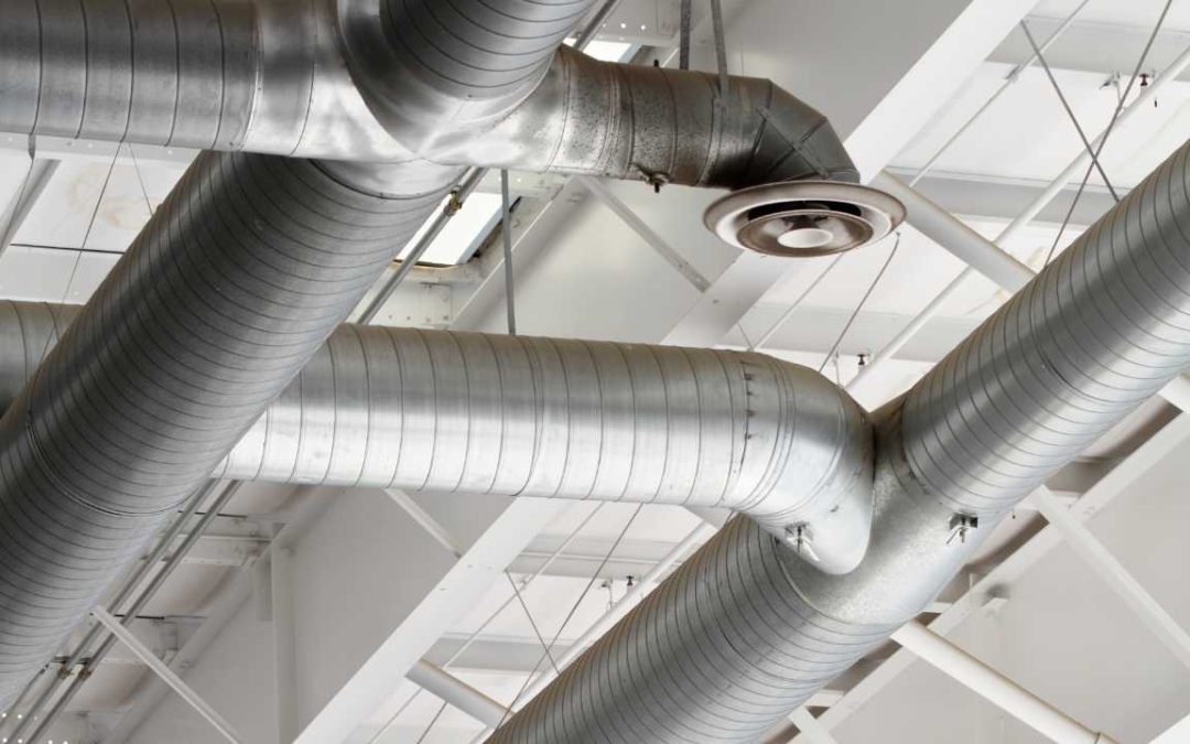 How to Keep Your Bathroom and Kitchen Mould-Free with Proper Ventilation?