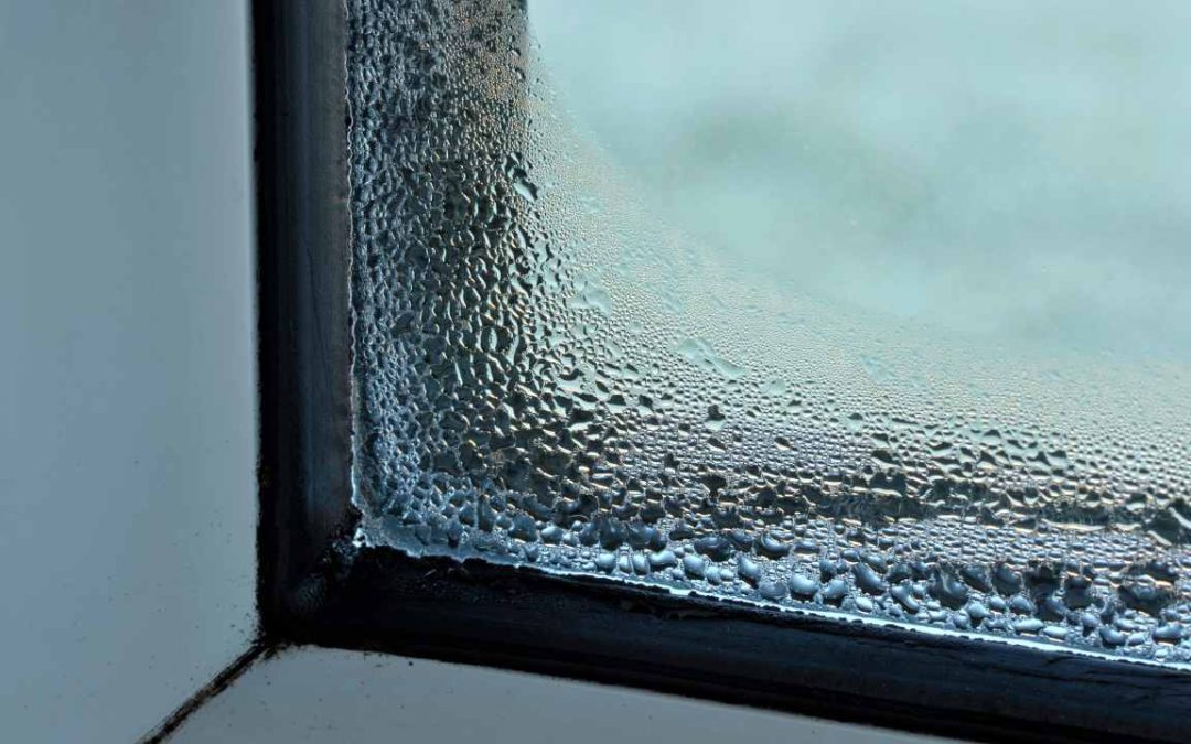Why Many Irish Homes Suffer Condensation: Causes, Effects and Solutions