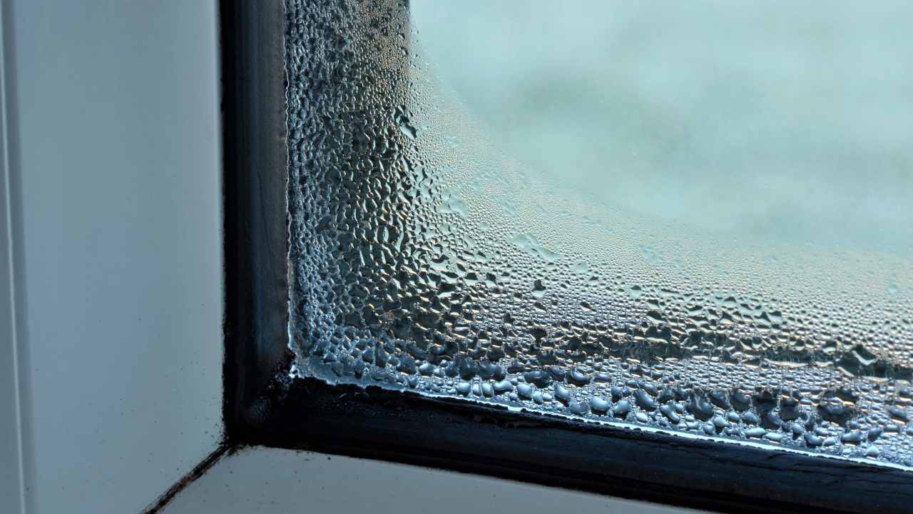 causes-effects-and-solutions-of-condensation